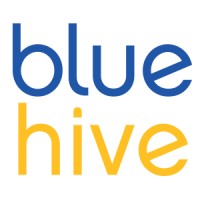 Bluehivehr