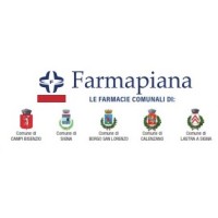 Farmacie Comunali Farmapiana logo - Similar company to Mega