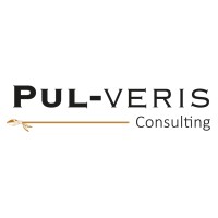 Pul-veris logo - Similar company to Maxxisample S.R.O.