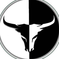 Financial Literacy Society JGU logo - Similar company to Catalyst Jgu - The Management Consulting Society