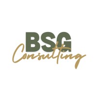 BSG Consulting logo - Similar company to Bsg Consulting, Inc.