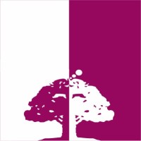 Brandian Tree logo - Similar company to Epic Solutions