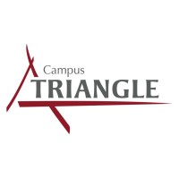 CAMPUS TRIANGLE logo - Similar company to Blendy Learning