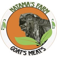 Natama Group logo - Similar company to Violet Sun System