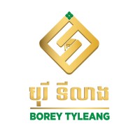 Borey Tyleang logo - Similar company to It Community សហគមន៍ អាយធី