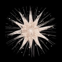 Psychedelics for Climate Action (PSYCA) logo - Similar company to Triple Bottom Why Pr