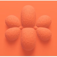 Transition State Ventures (formerly Studio for Good) logo - Similar company to Careforce