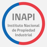 INAPI Chile logo - Similar company to Dinapi Paraguay