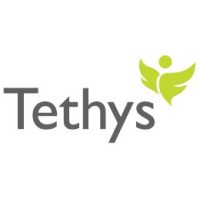 Tethys Development Services logo - Similar company to Indian Development Center