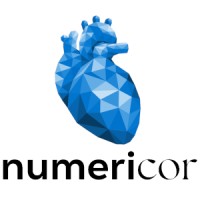 NumeriCor GmbH logo - Similar company to Ifa Technology Gmbh