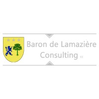 BdL Consulting SA logo - Similar company to Tokonomica