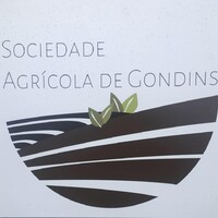 Sociedade Agrícola de Gondins logo - Similar company to Azeite Caldeira Sociedade Agrícola