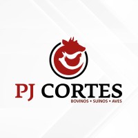 PJ Cortes logo - Similar company to Levaí