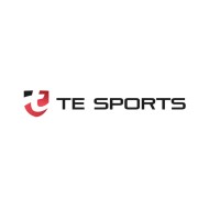 TE SPORTS logo - Similar company to Being Ultimate
