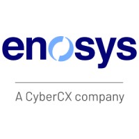 Enosys Solutions logo - Similar company to Ēnosys
