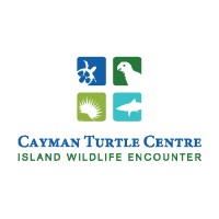 Cayman Turtle Centre: Island Wildlife Encounter logo - Similar company to .Dealer Domains