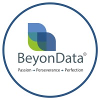 BeyonData Solutions Private Limited logo - Similar company to Pipluspi Technologies Pvt Ltd