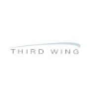 Third Wing Business Strategies LLC
