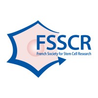 FSSCR logo - Similar company to Vi-Tech Support B.V.