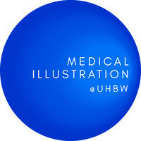 Medical Illustration @University Hospitals Bristol & Weston NHS Foundation Trust logo - Similar company to Diamond Deprescribing