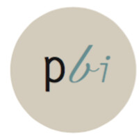 PlugBI logo - Similar company to Pascal Perry Digital Consulting