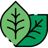 Miint Africa logo - Similar company to Egosms