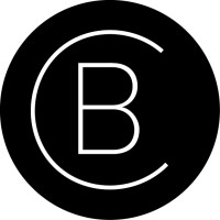 Blink Consulting logo - Similar company to The Best Answer, Inc.
