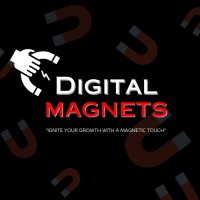 Digital Magnets logo - Similar company to Dmarketingguru: Digital Marketing Agency