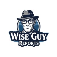 Wise Guy Reports logo - Similar company to Synergy Solutions Vii
