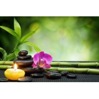 Massages Intuitifs Bien-être logo - Similar company to Esthétique