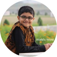 Wafid's World logo - Similar company to Safir