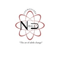 Nudge Club logo - Similar company to Wevolve