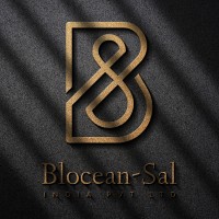 Blocean-Sal India Pvt Ltd. logo - Similar company to Digibulls