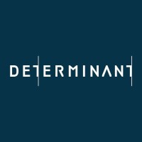 DETERMINANT Vietnam logo - Similar company to Quills At Work