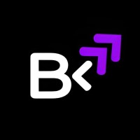 Bizzless Inc. logo - Similar company to Adsify