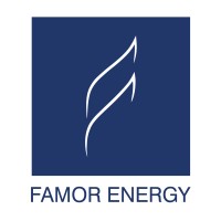 Famor Energy B.V. logo - Similar company to Nexusanalytics Group