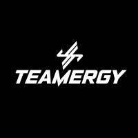 Teamergy logo - Similar company to Enequipo Trading Sl