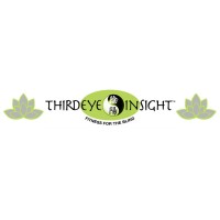 Third Eye Insight Fitness for The Blind logo - Similar company to The Third Eye Malta