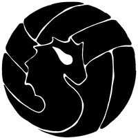 Driven Dragons Volleyball Academy logo - Similar company to Miro Consulting