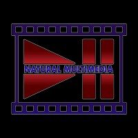 Natural Multimedia LLC logo - Similar company to Rameen Studios