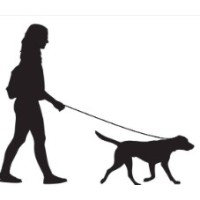 Dog Walking Saskatoon logo - Similar company to Walking In Trees: Dog Walking & Pet Care