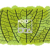 Koid logo - Similar company to Dsh Architects Ltd