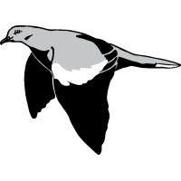 White Wing Construction Services logo - Similar company to Edt Construction Llc