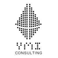 YMI Consulting logo - Similar company to Mccooke Marketing Group