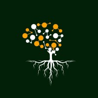 Money Acumen Advisory logo - Similar company to M31 Research