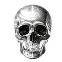 Memento Mori Labs logo - Similar company to The 2Nd.Co