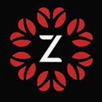 ZIVIZI logo - Similar company to Emcentric
