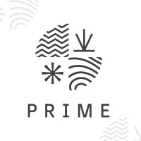 Prime Environmental Projects and Solutions logo - Similar company to Prime Ambiental