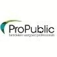 ProPublic logo - Similar company to Pro:Public
