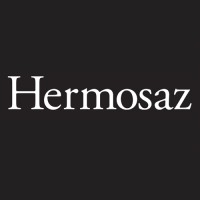 Hermosaz logo - Similar company to Fluix Pro